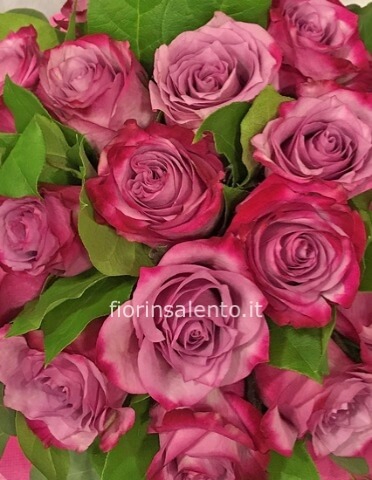 Bouquet di rose - monocromatico