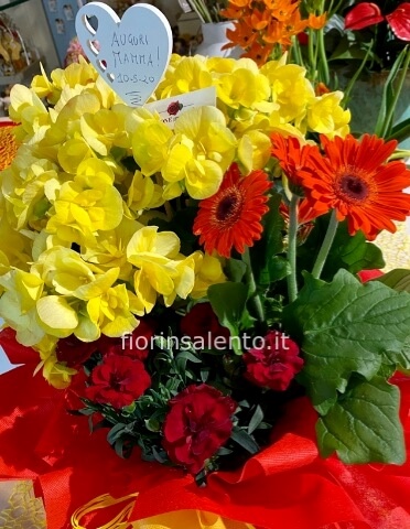 Composizione di piantine ne miste